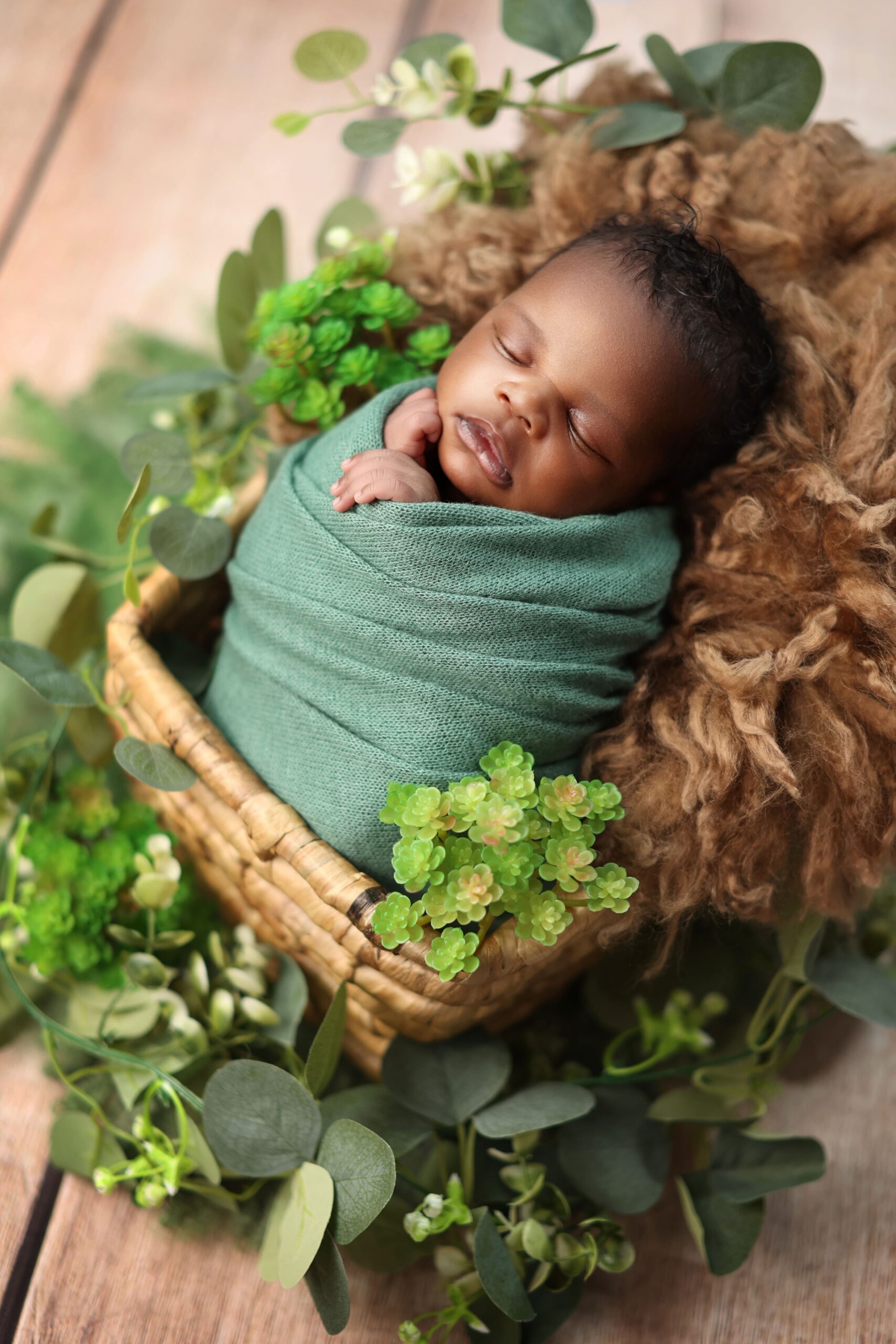 Newborn baby portrait captured in studio