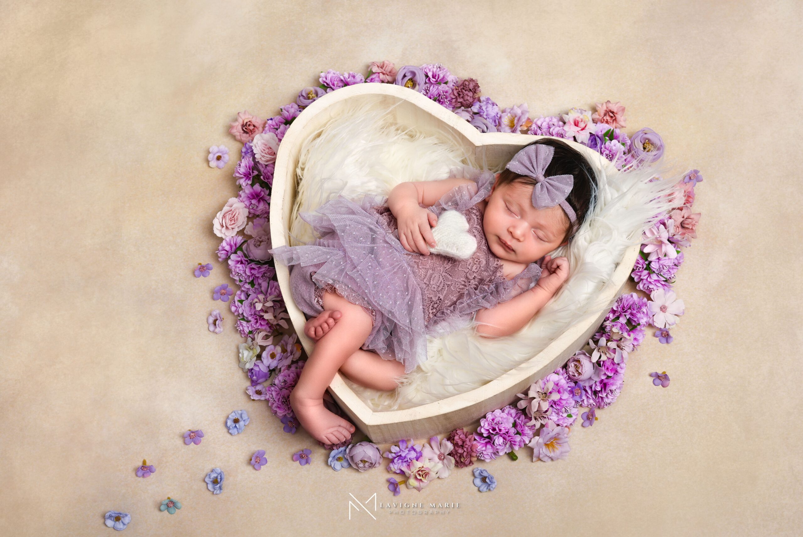Newborn photography studio session using a heart shaped prop