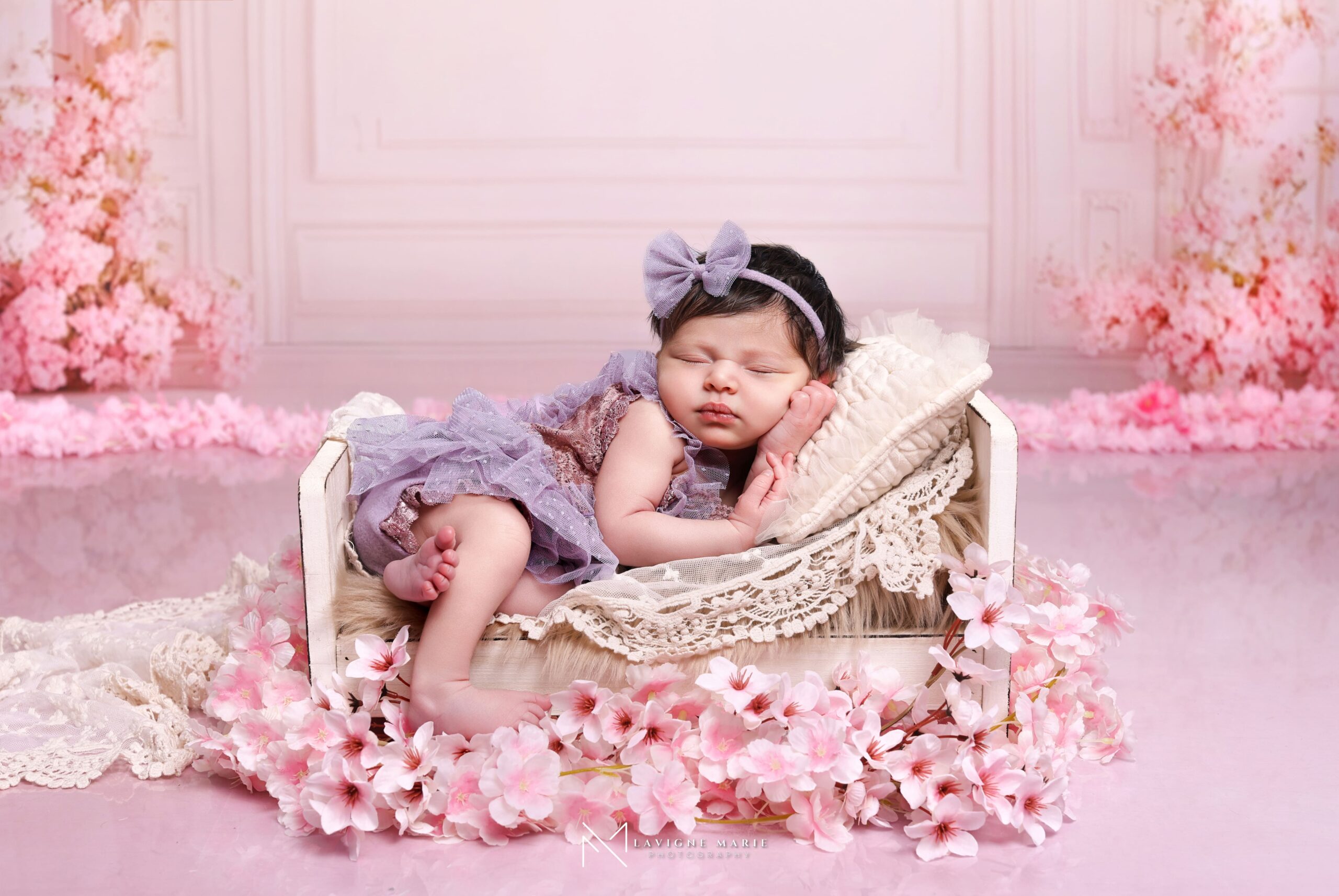 Newborn photography studio session with pink themed props and backdrop