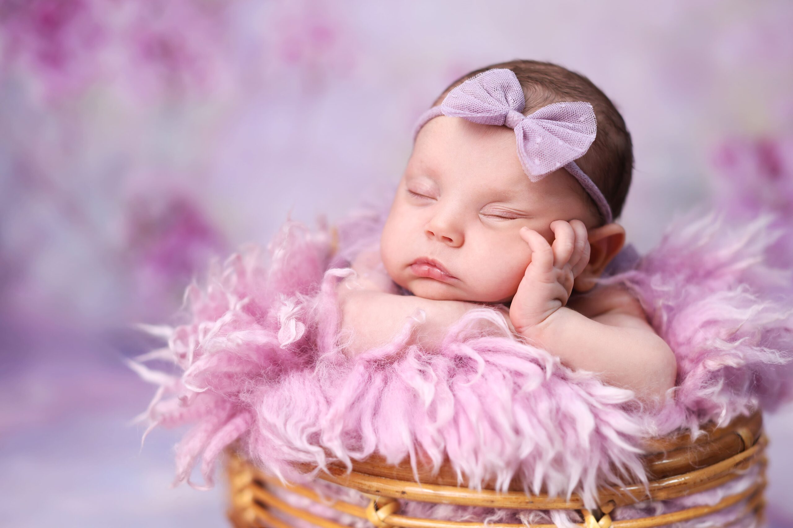 Professional newborn studio photography portrait