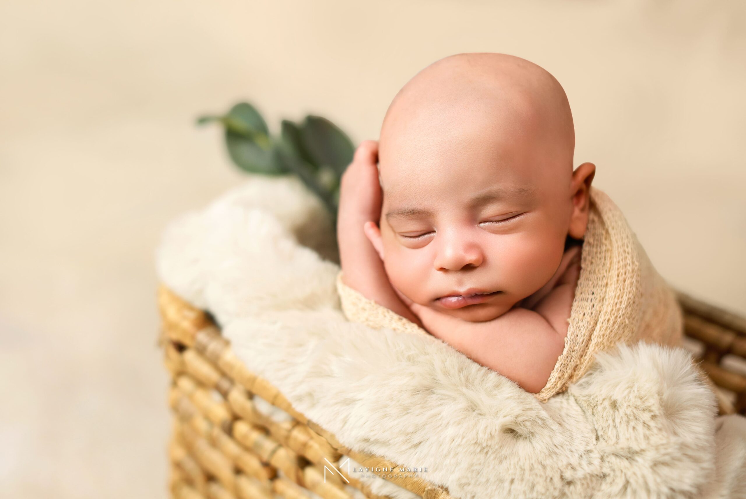 Newborn baby posing ideas on a light cream backdrop in a professional studio photoshoot